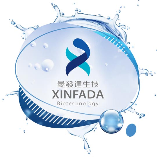 鑫發達XINFADA